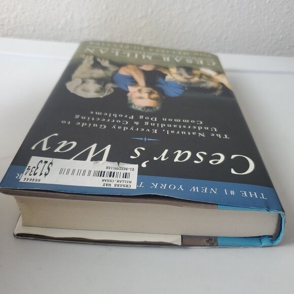 Cesars Way The Natural, Everyday Guide To Dog Cesar Millan & Melisa Jo Peltier - Picture 5 of 14